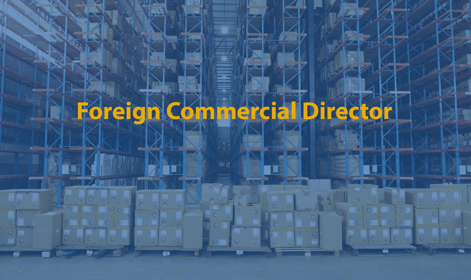 Foreign Commercial Director