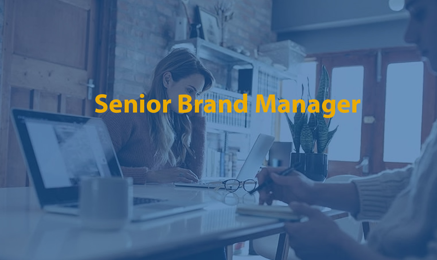 Senior Brand Manager