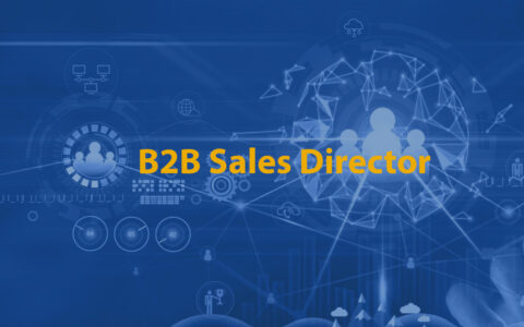 B2B Sales Director