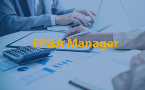 Financial Planning & Analysis Manager