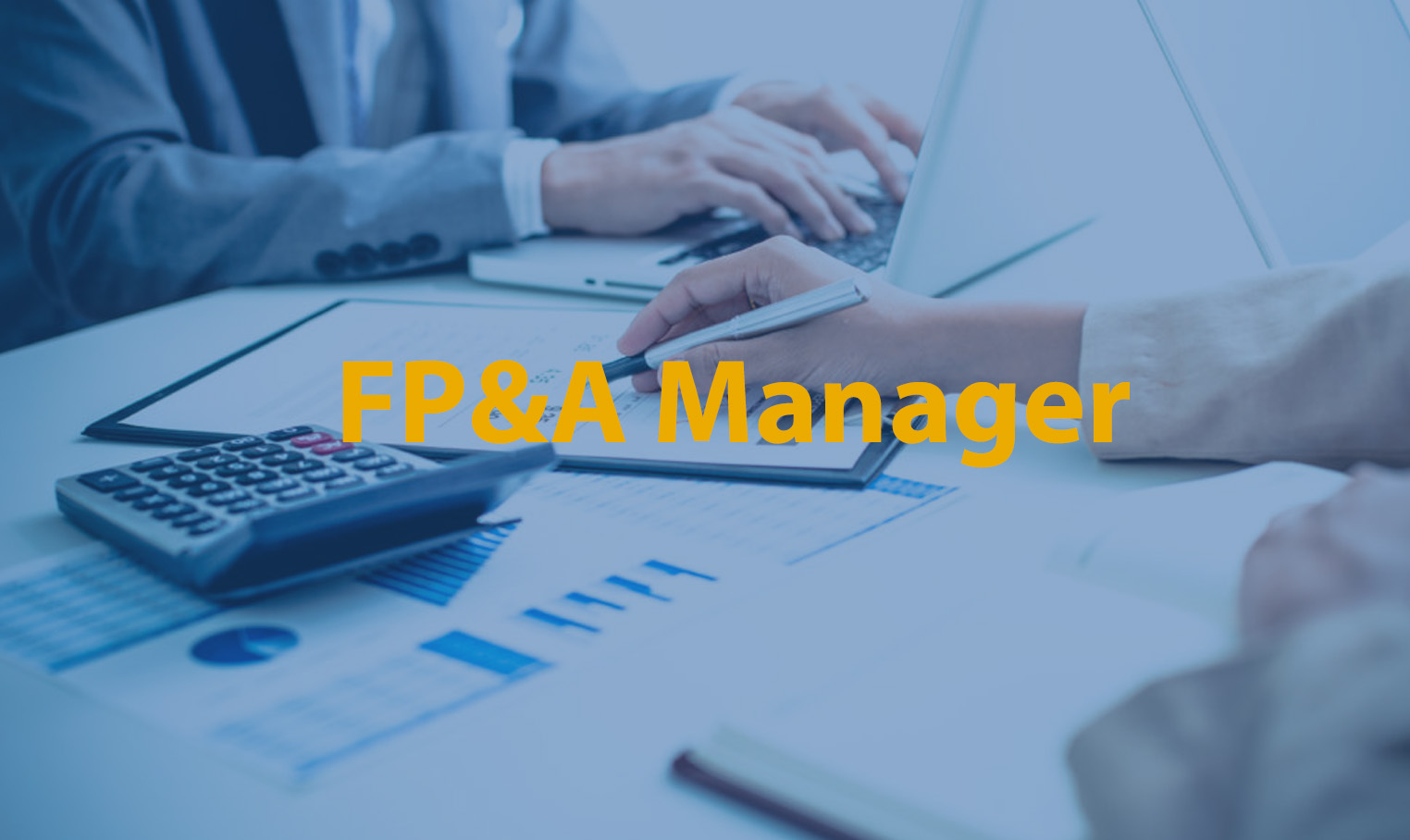Financial Planning & Analysis Manager