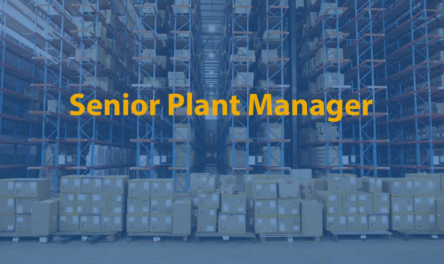 Senior Plant Manager