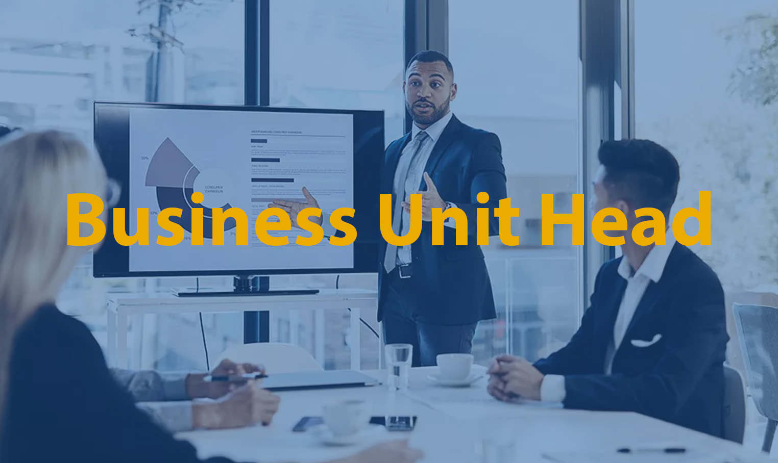 Business Unit Head