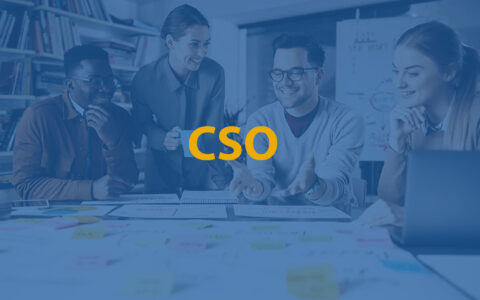 Chief Sales Officer