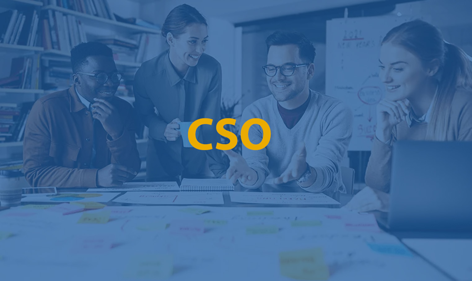 Chief Sales Officer