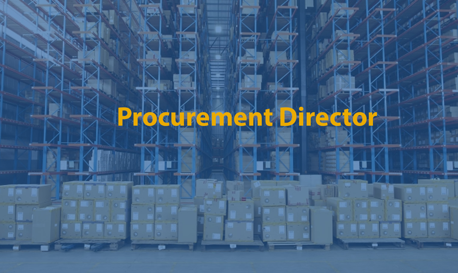 Procurement Director